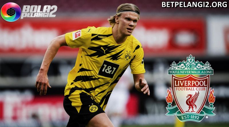 Liverpool Menginginkan Erling Braut Haaland!