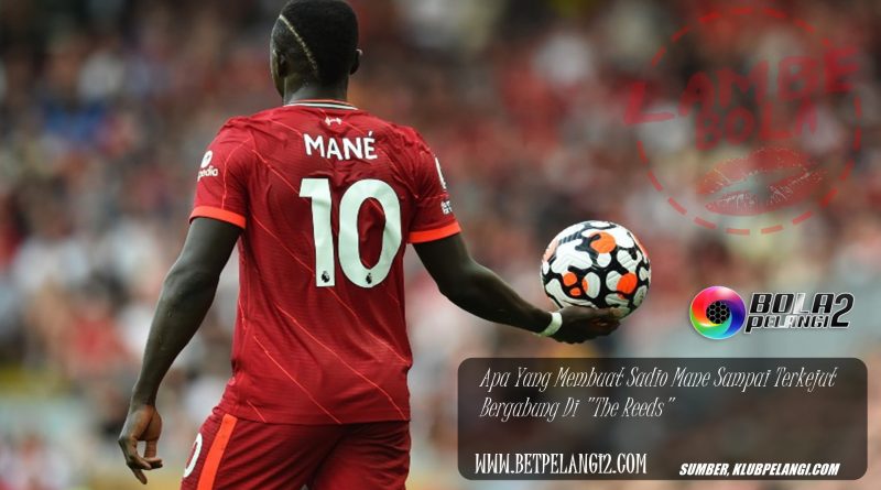 Apa Yang Membuat Sadio Mane Sampai Terkejut Bergabung Di "The Reeds"